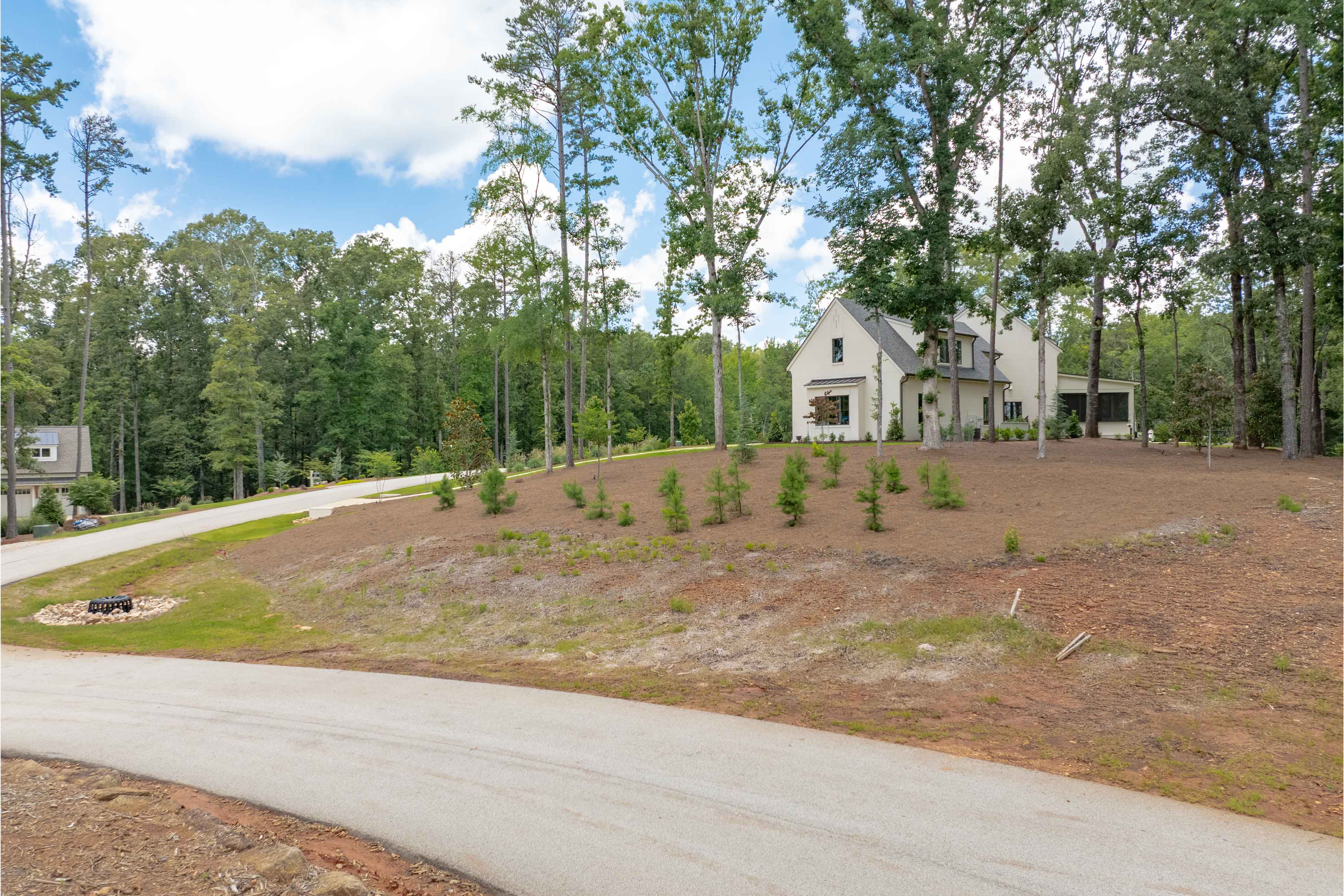 1100 High Bluff Lane image 5